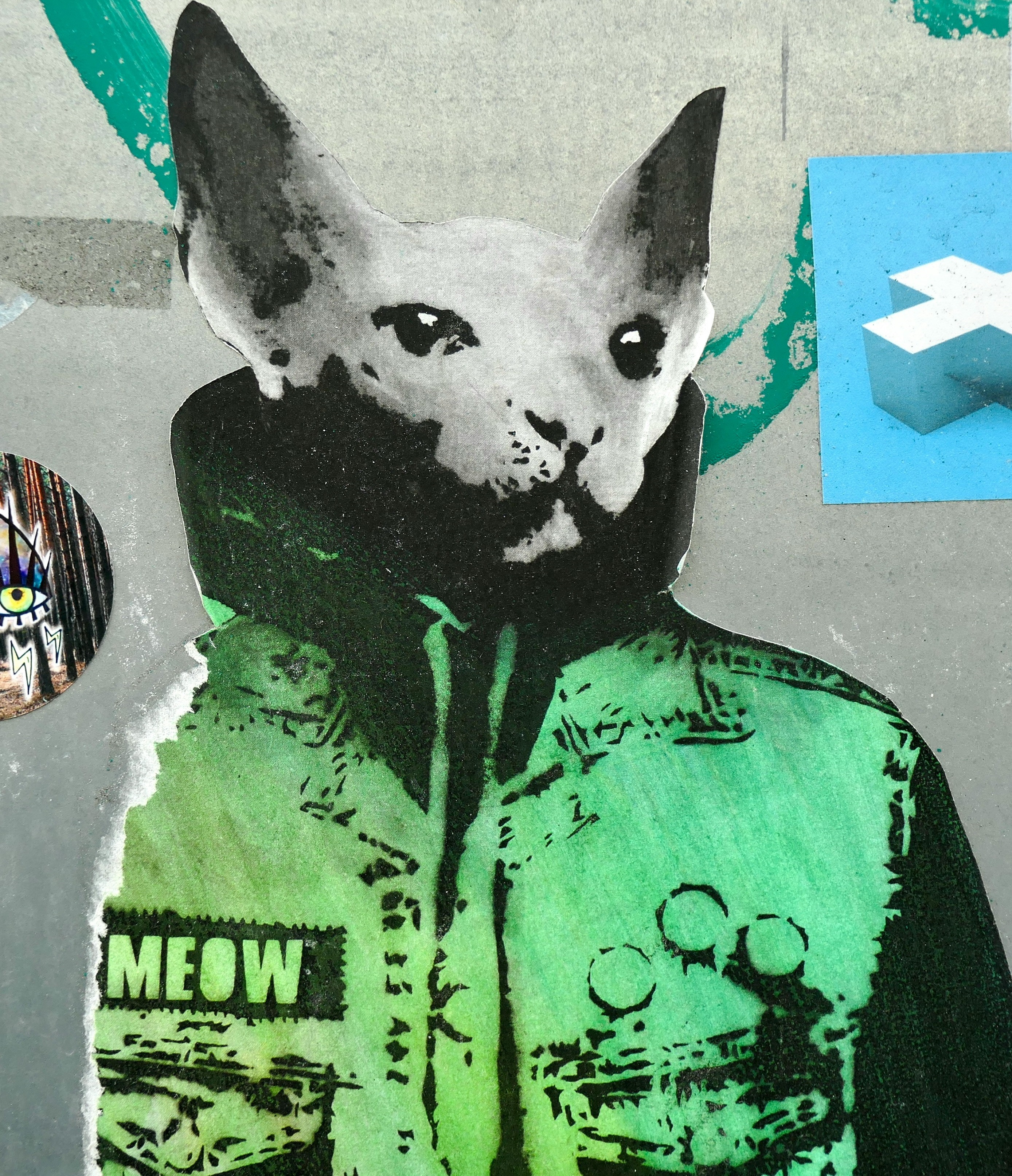 Collage-style picture of a cat in a jacket.