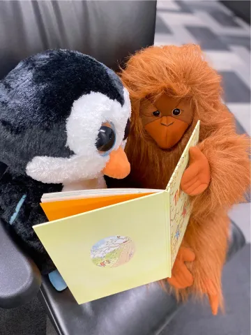 A stuffed penguin and orangutan reading a book