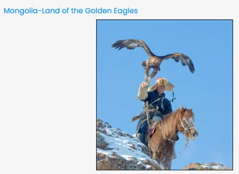 Hunter on horseback, golden Eagle landing on hunter's arm