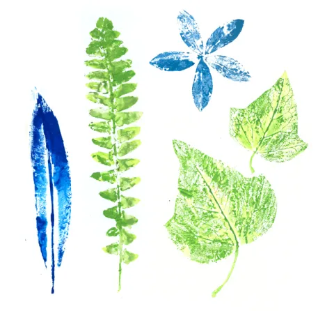prints of leaves