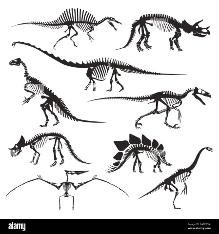 9 different dinosaurs depicted with just their bones