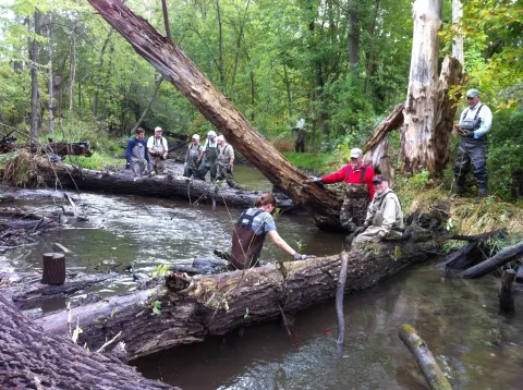 Volunteers working in Clinton River