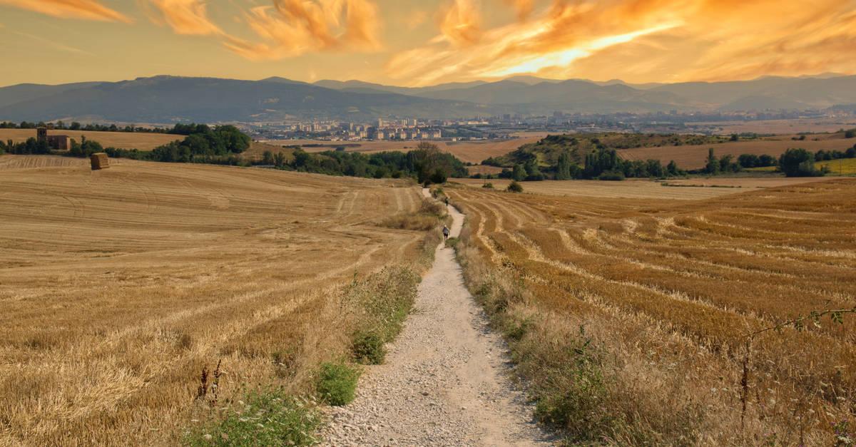 landscape photo of field and pathway on the Camino de Santiago