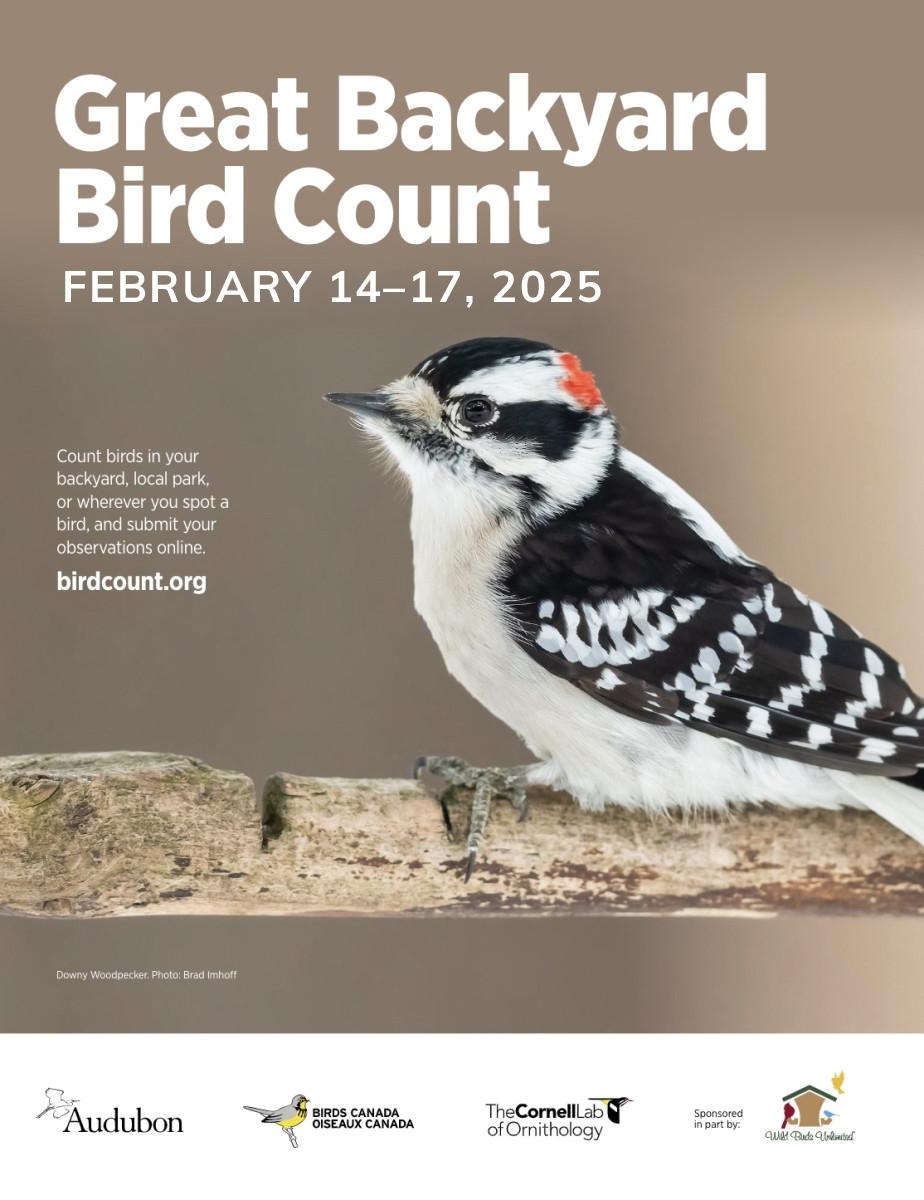 Poster for the Great Backyard Bird Count 