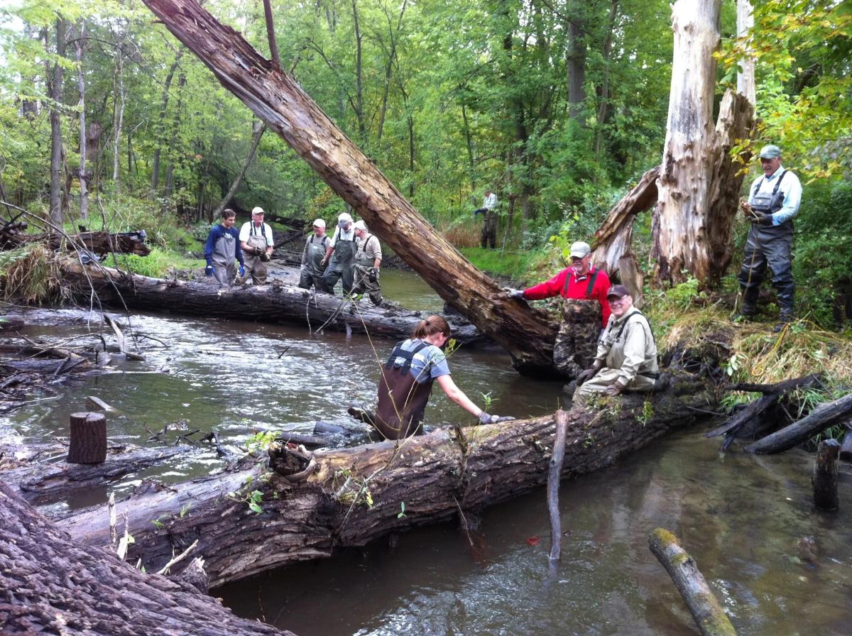 Volunteers working in Clinton River